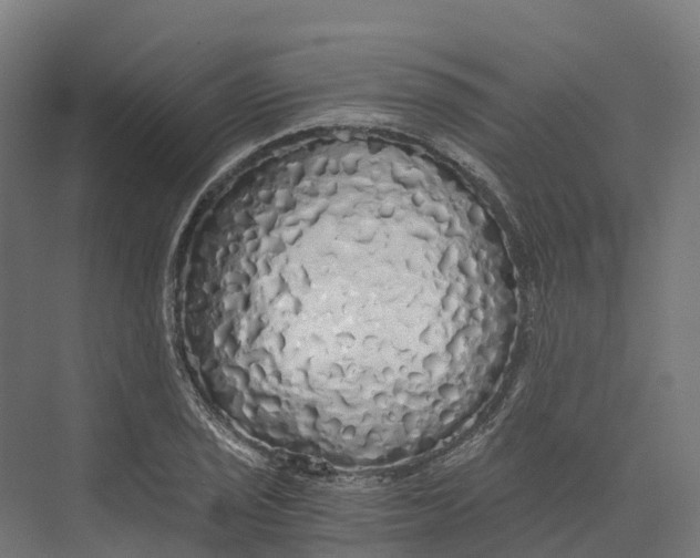 X0000073981029200609181711