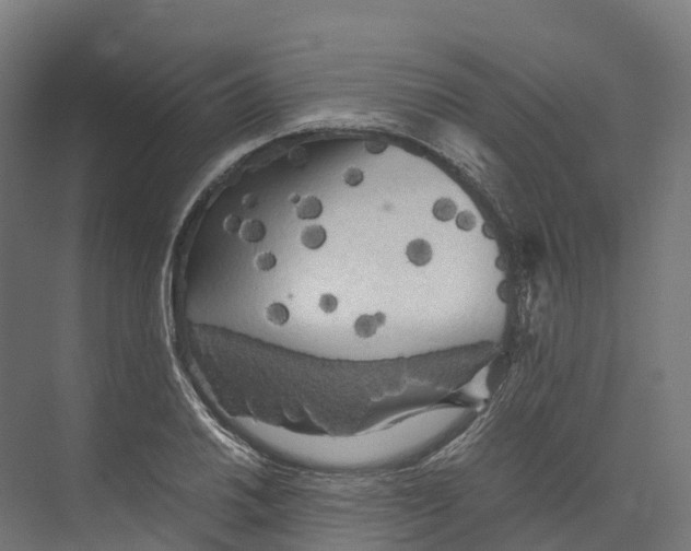 X0000073981030200609181711