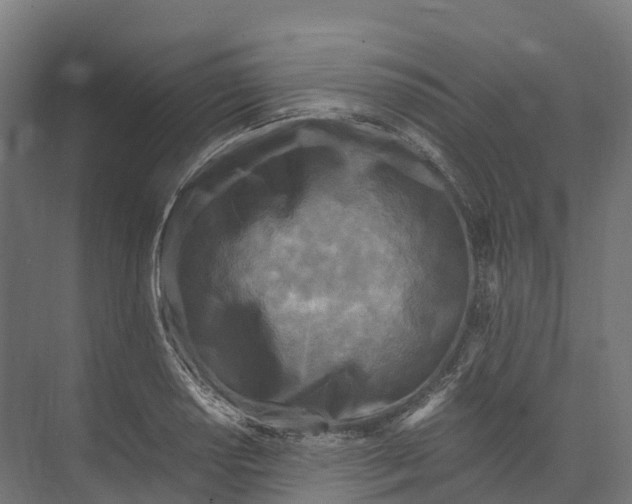 X0000073981034200609181711