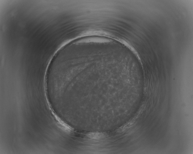 X0000073981037200609181711