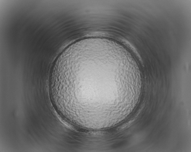 X0000073981041200609181711