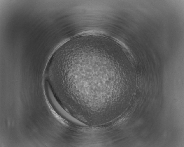 X0000073981042200609181711