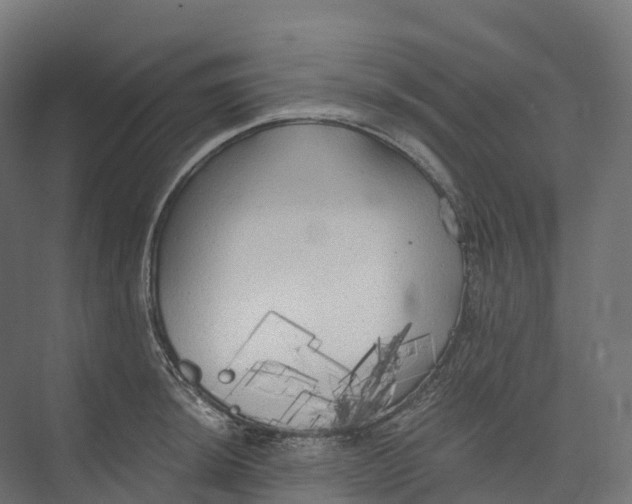 X0000073981044200609181711