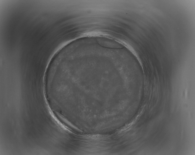 X0000073981045200609181711