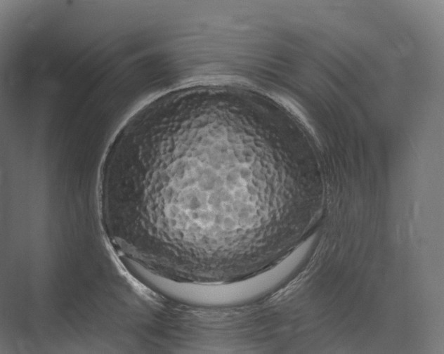 X0000073981046200609181711