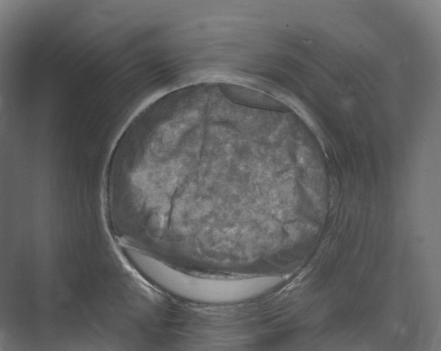 X0000073981048200609181711