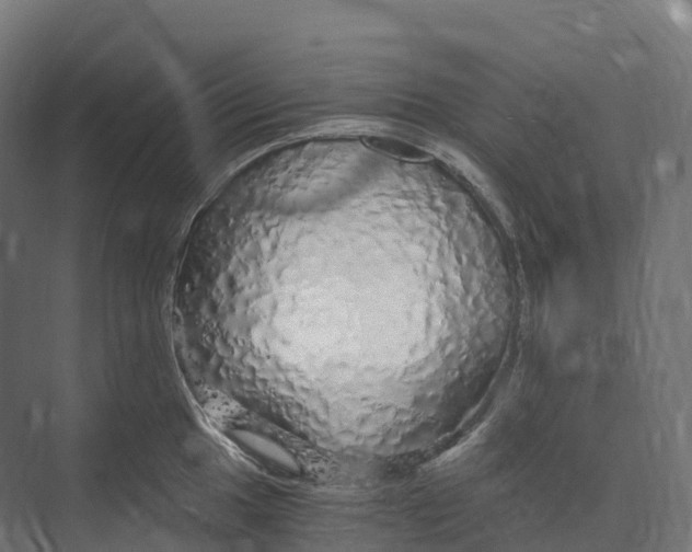 X0000073981049200609181711