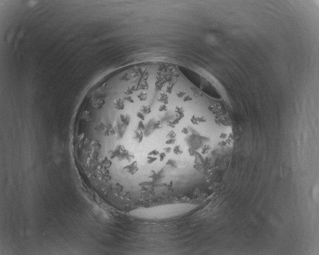 X0000073981051200609181711