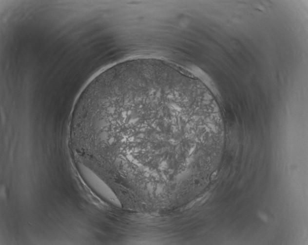 X0000073981052200609181711