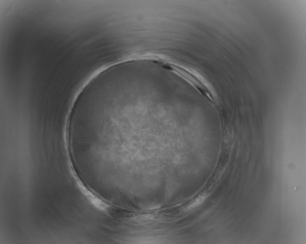 X0000073981054200609181711