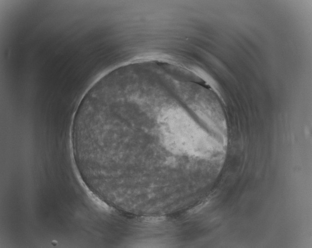 X0000073981055200609181711