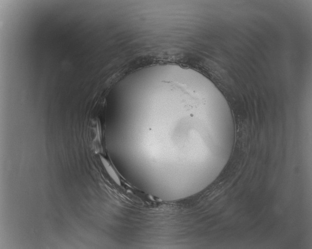 X0000073981058200609181711