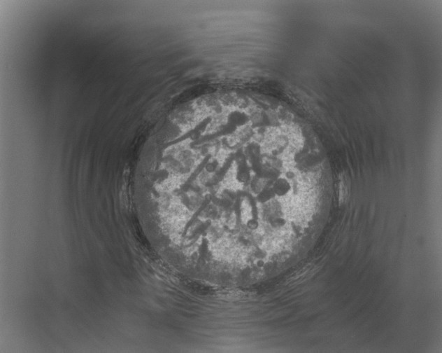 X0000073981059200609181711