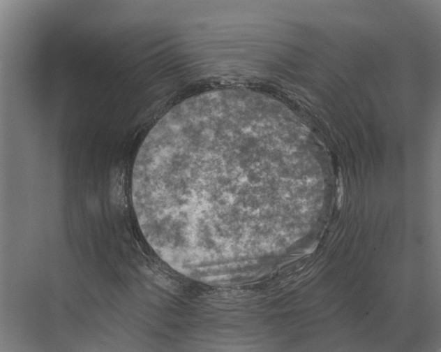 X0000073981060200609181710