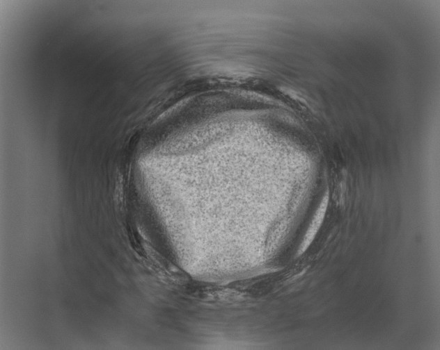 X0000073981061200609181710