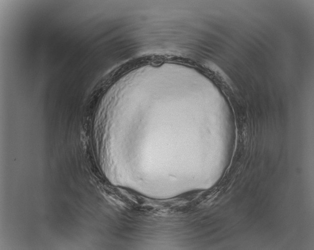 X0000073981064200609181710