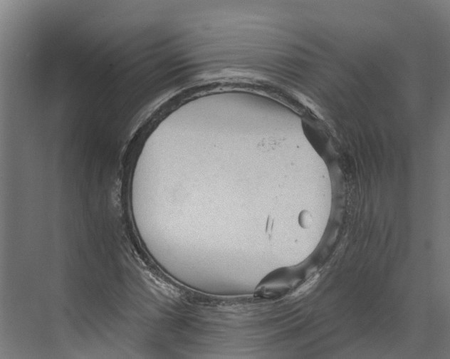 X0000073981066200609181710