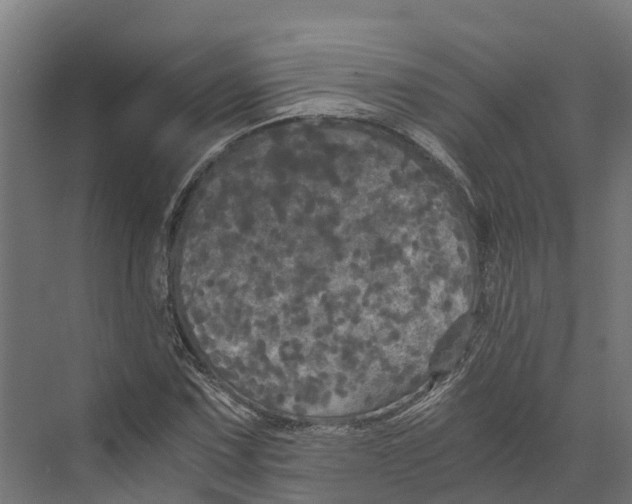 X0000073981067200609181710