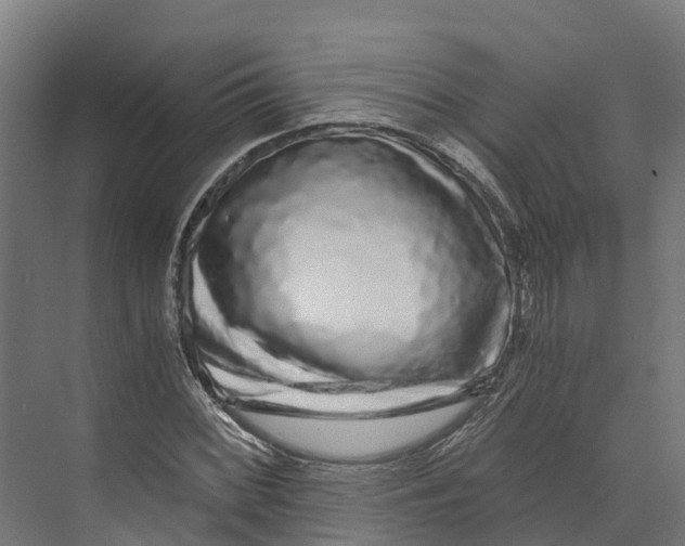 X0000073981068200609181710