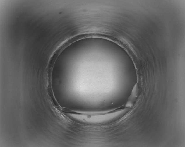 X0000073981069200609181710