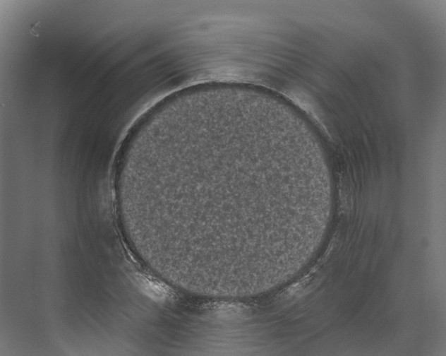 X0000073981070200609181710