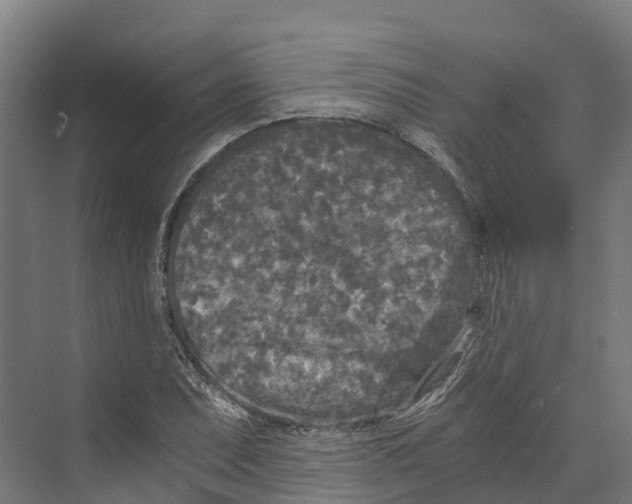 X0000073981071200609181710