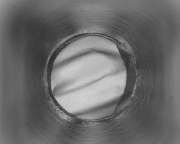 X0000073981072200609181710