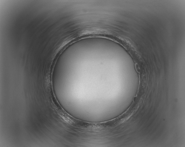 X0000073981073200609181710