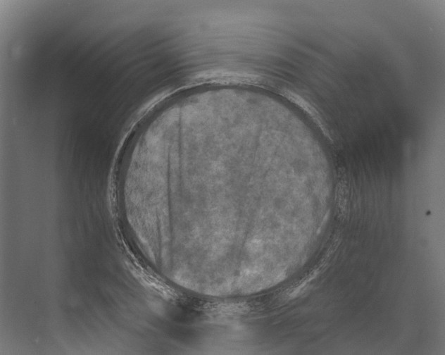 X0000073981074200609181710