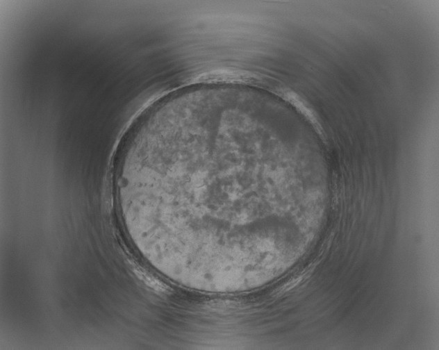 X0000073981075200609181710