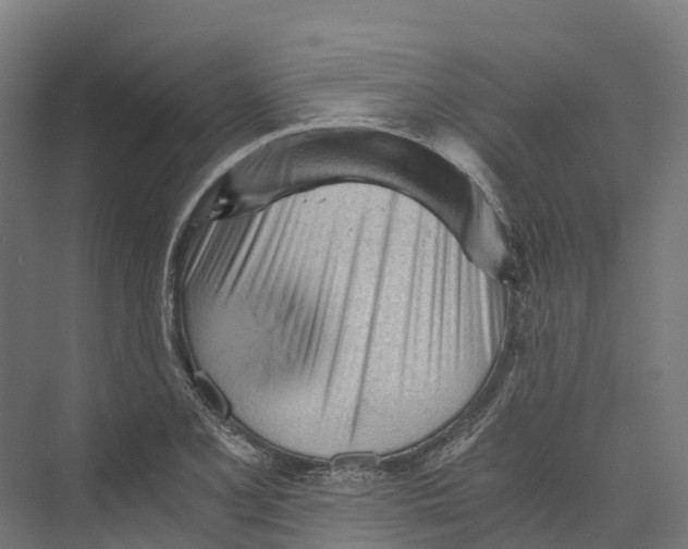 X0000073981077200609181710