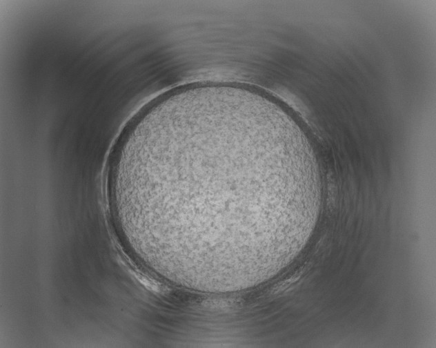 X0000073981078200609181710