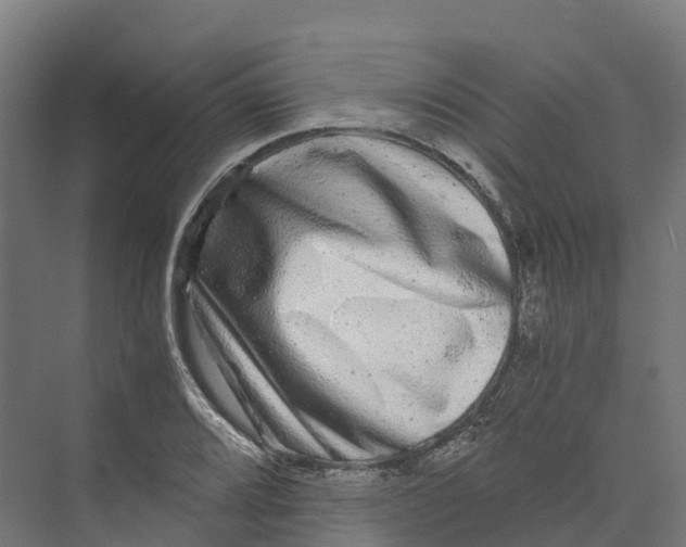 X0000073981080200609181710