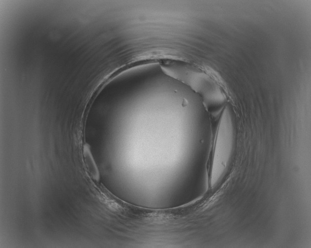 X0000073981081200609181710