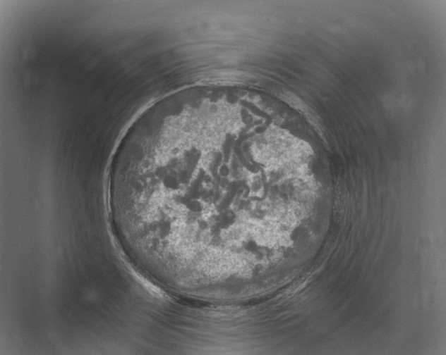 X0000073981083200609181710