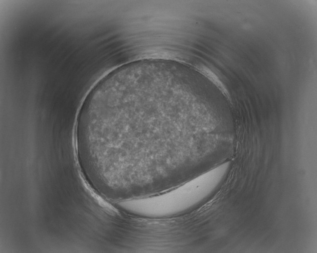 X0000073981084200609181710