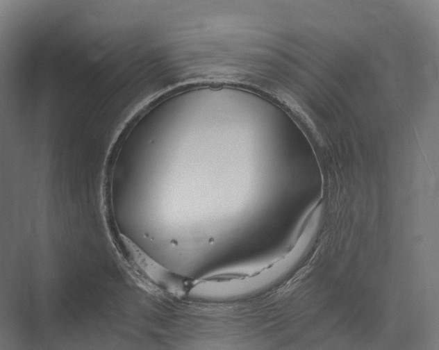 X0000073981085200609181710