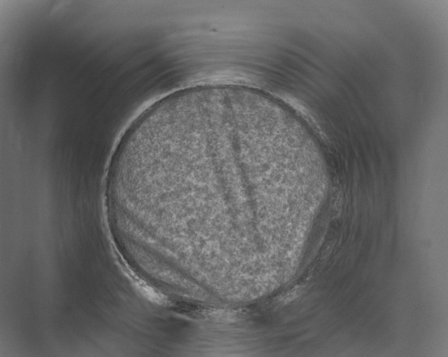 X0000073981086200609181710