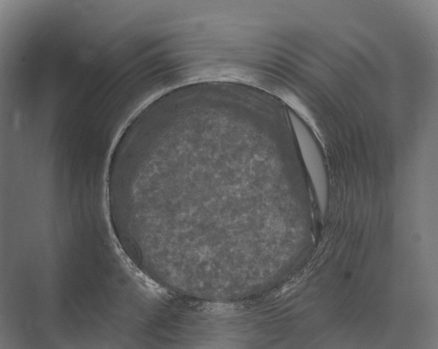 X0000073981088200609181710