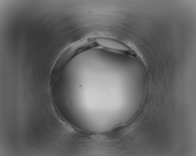 X0000073981089200609181710