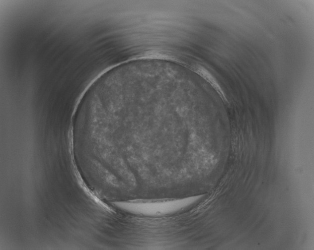 X0000073981092200609181710