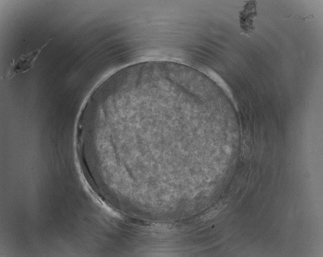 X0000073981096200609181710