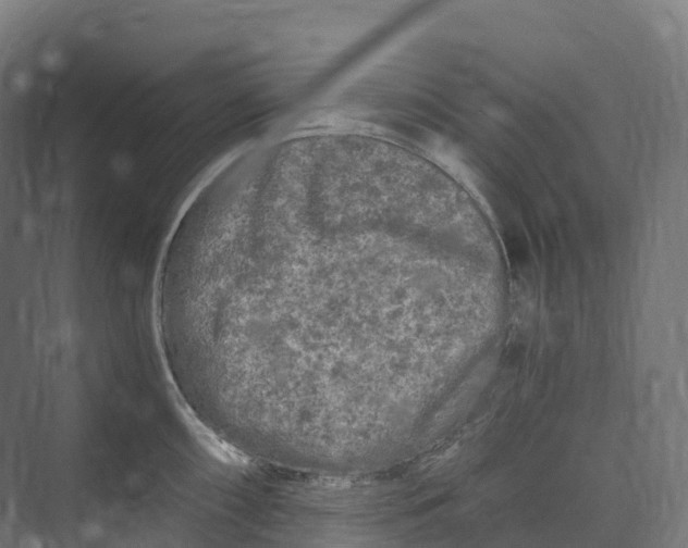 X0000073981098200609181710