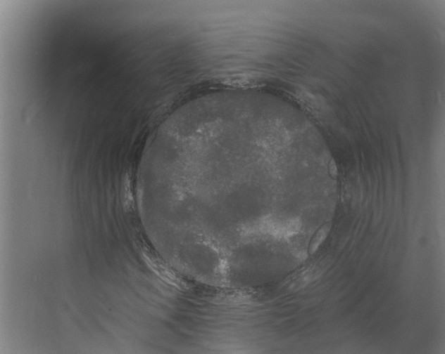 X0000073981106200609181709