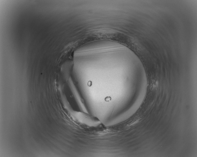 X0000073981108200609181709