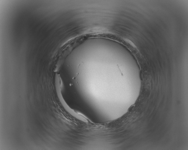 X0000073981112200609181709