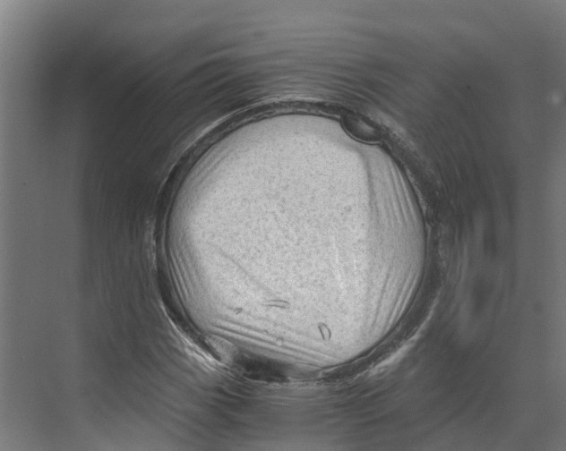 X0000073981113200609181709