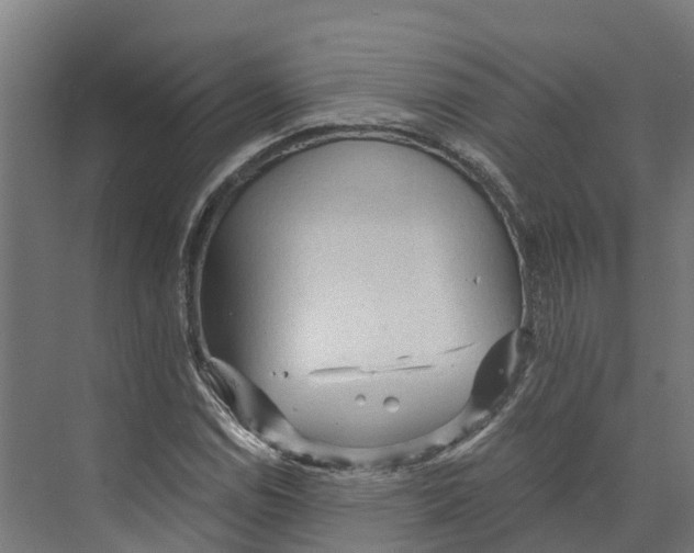 X0000073981114200609181709