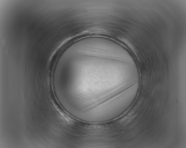 X0000073981115200609181709