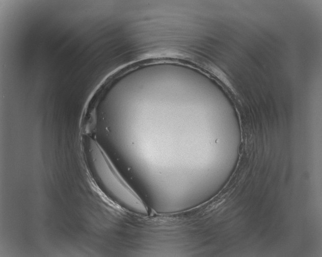 X0000073981116200609181709